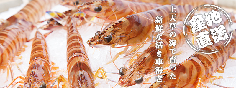 車海老トップ画像