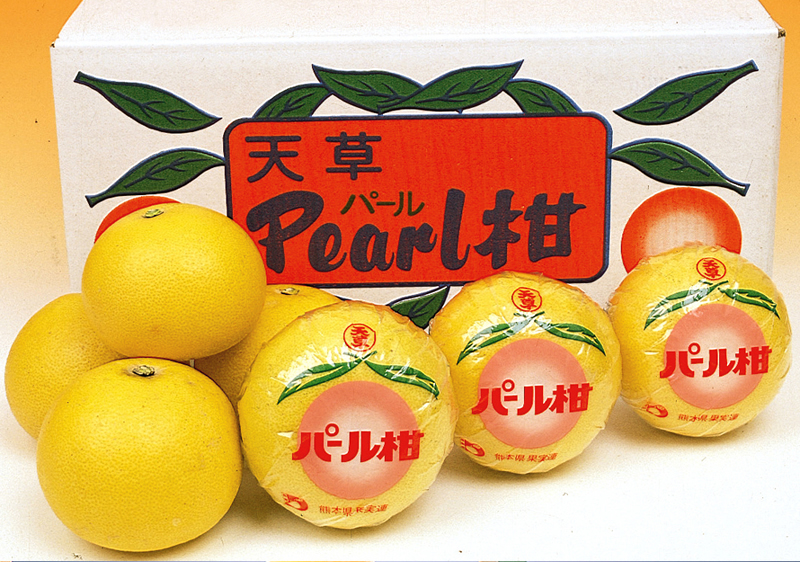 パール柑