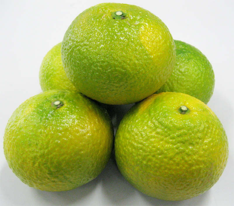 スイートスプリング