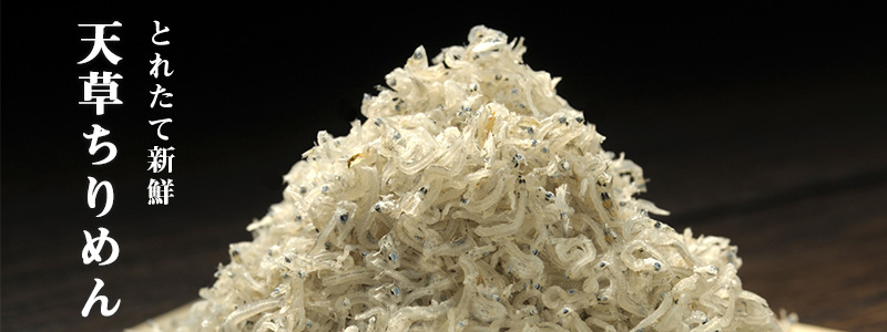 ちりめんトップ画像