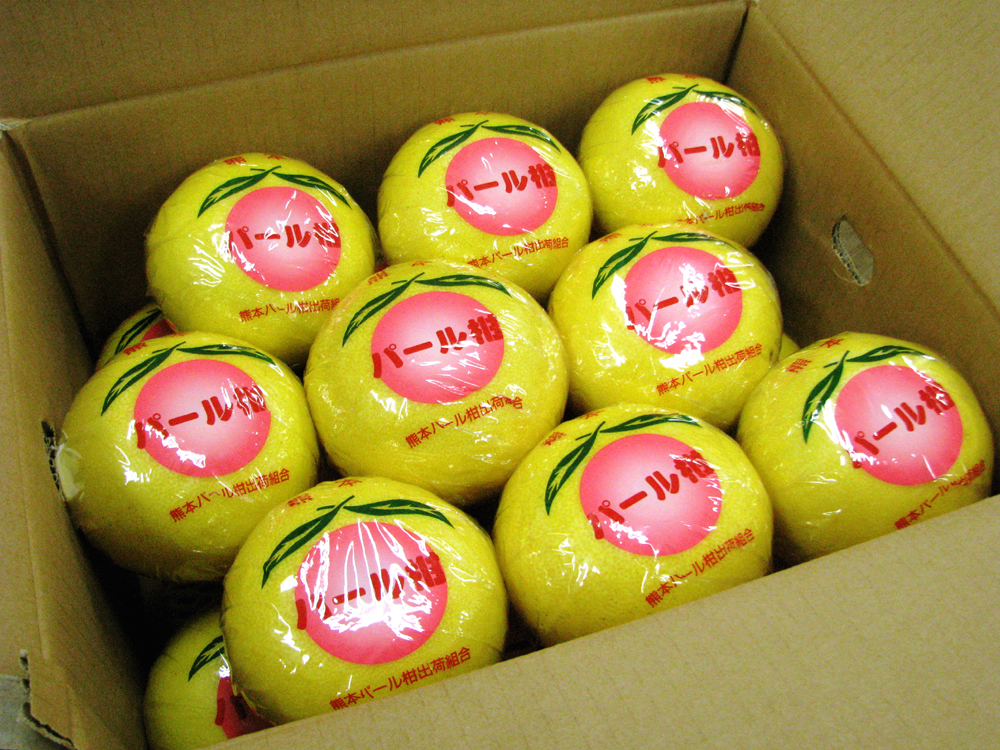 パール柑10ｋｇ箱入り(正味約９kg)